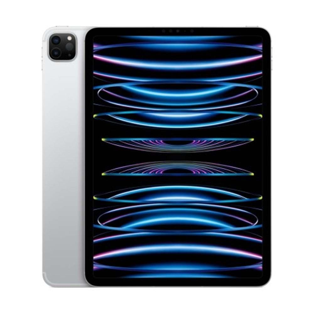 IPAD PRO M4 WIFI 256 GB 11 INCH
