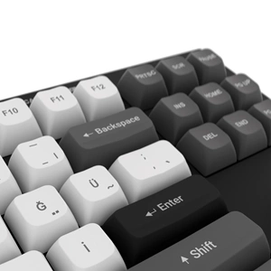 Hawk HK220 Membrane RGB Kablosuz/Bluetooth Siyah Beyaz TKL Türkçe Gaming Oyuncu Klavye