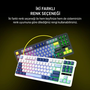 James Donkey JDK87 Rainbow Mekanik Hisli Membran Türkçe Q Gaming 87 Tuş Siyah Klavye