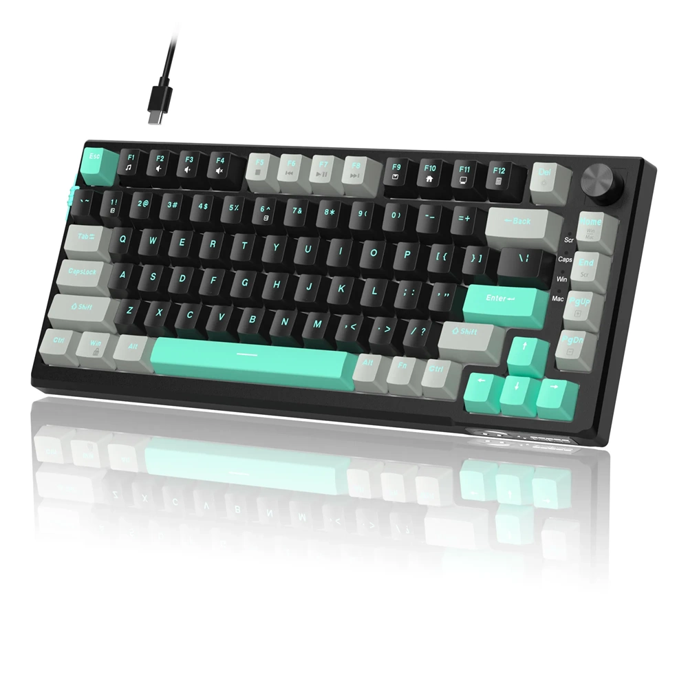 MAGEGEE SKY81 MEKANIK RGB KABLOLU GAMING KLAVYE HOT SWAP-GRI SIYAH